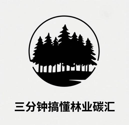 碳汇森林