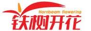 铁树花转发赚钱