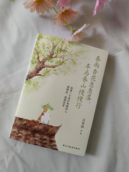杏花小说阅读器免