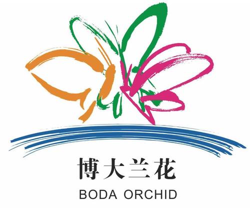 蝴蝶兰赚钱