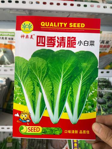 省钱小白菜手机版