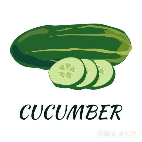 黄瓜分期