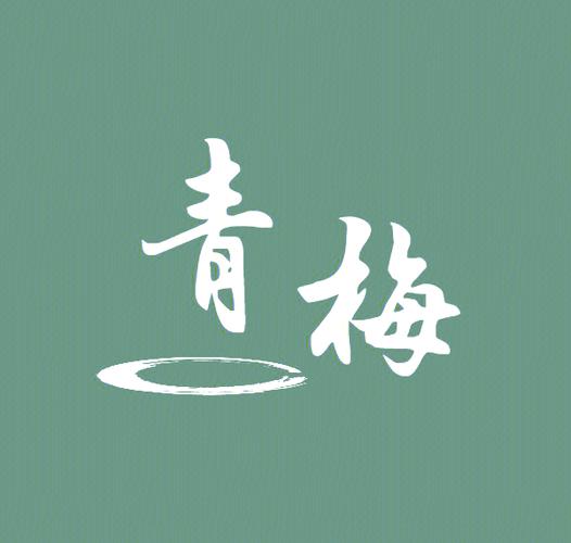 青梅小说客户端v
