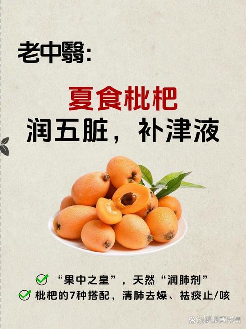 枇杷资讯手机版安截图