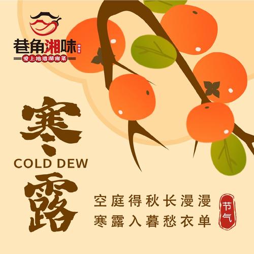 寒露小说全文免费