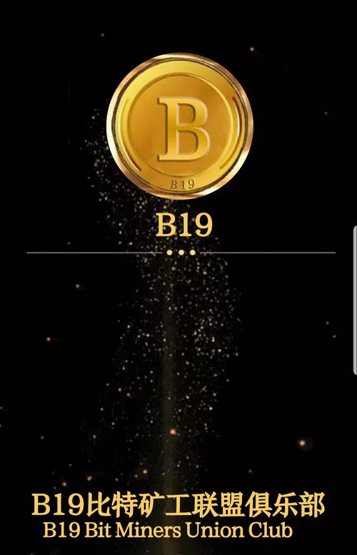 B19比特矿工图标