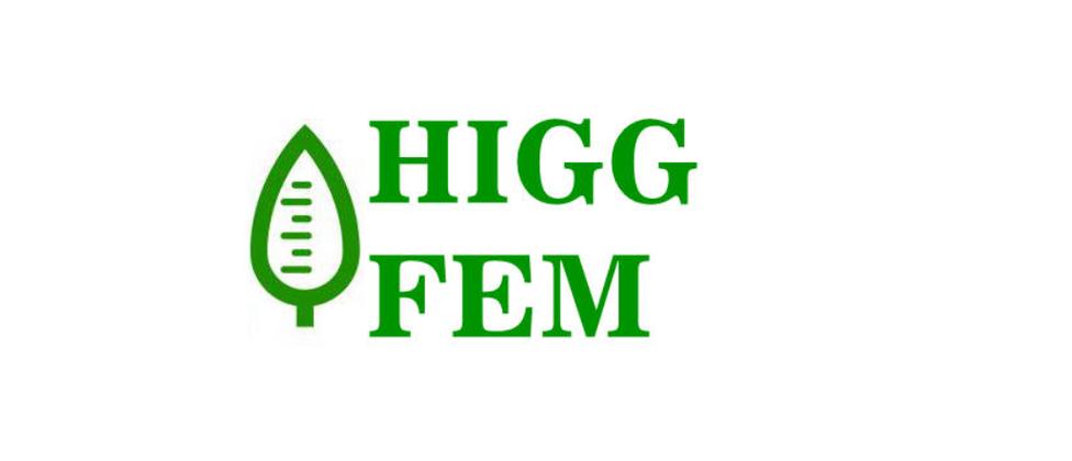 FEM