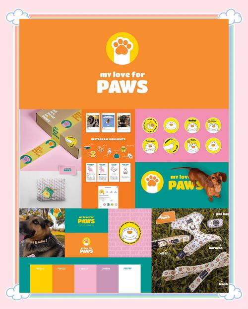 猫爪短视频手机版截图