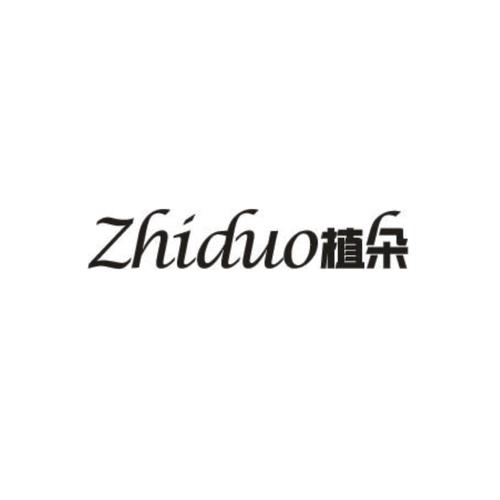 树朵朵种植赚钱