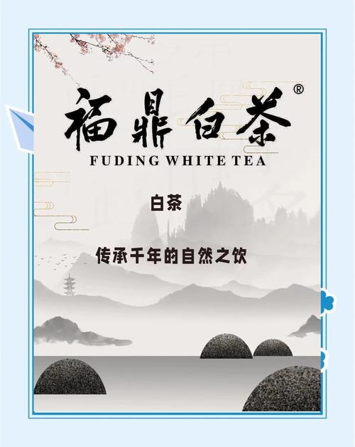 白茶小说手机版