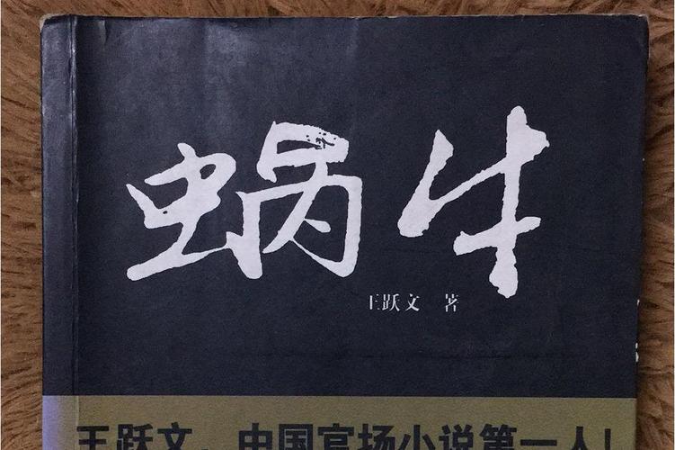 蜗牛小说作品v1