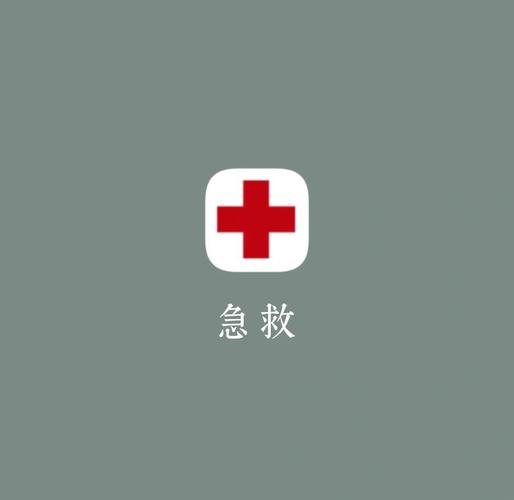 救急管家