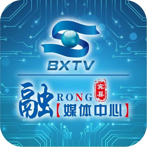 宾县融媒手机版