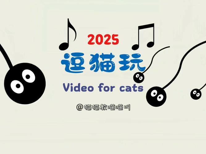 猫猫斗你玩