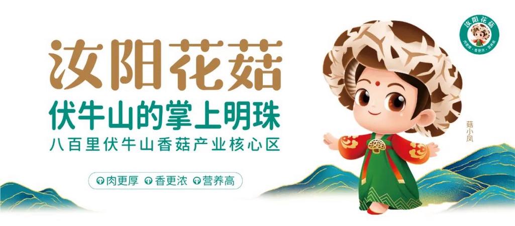 花蘑菇官网版贷款