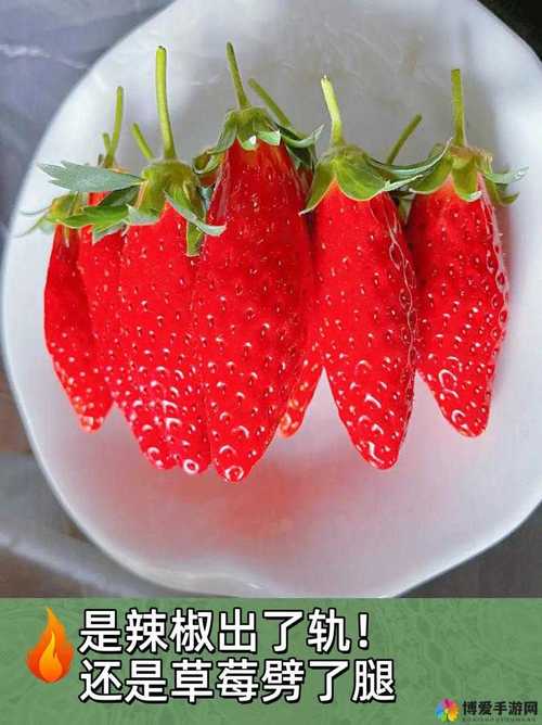 香蕉草莓丝瓜茄子番茄