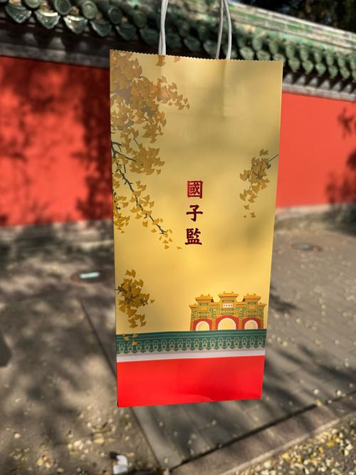 国子监来了一个女截图