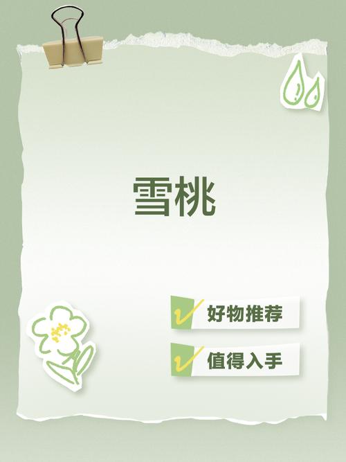 冰桃兼职手机版