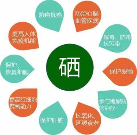硒元宝安卓版