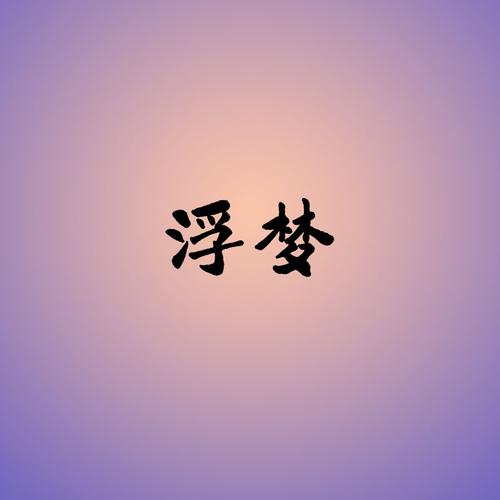 浮梦应用