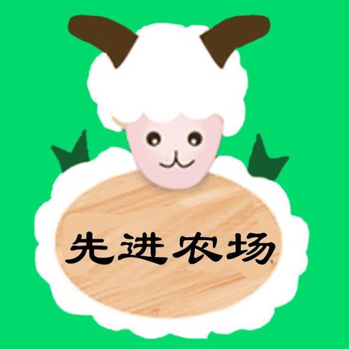先进农场养羊真红