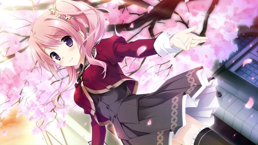 樱舞少女