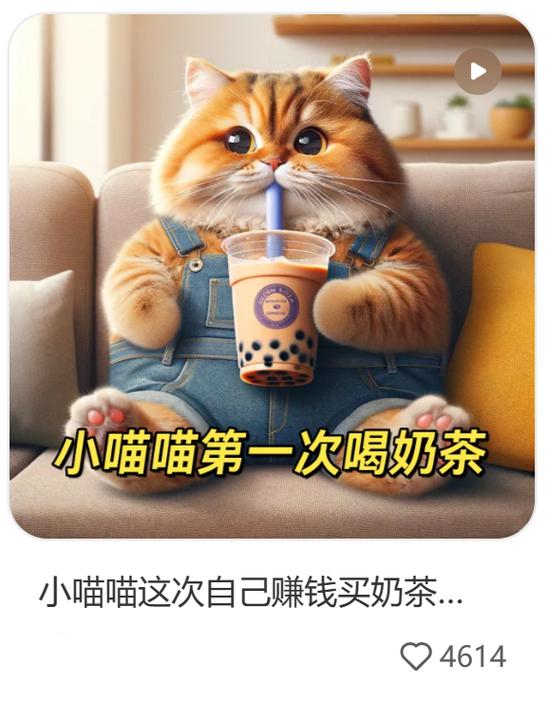 喵喵早起打卡2022