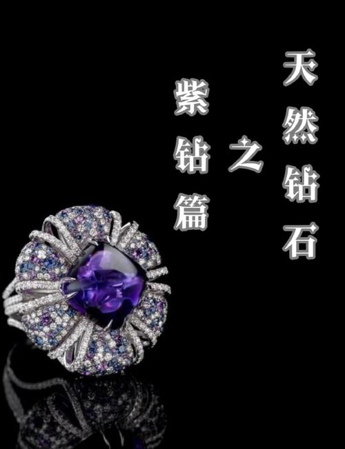 紫钻矿场赚钱手机