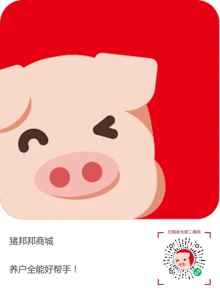 小猪帮帮app