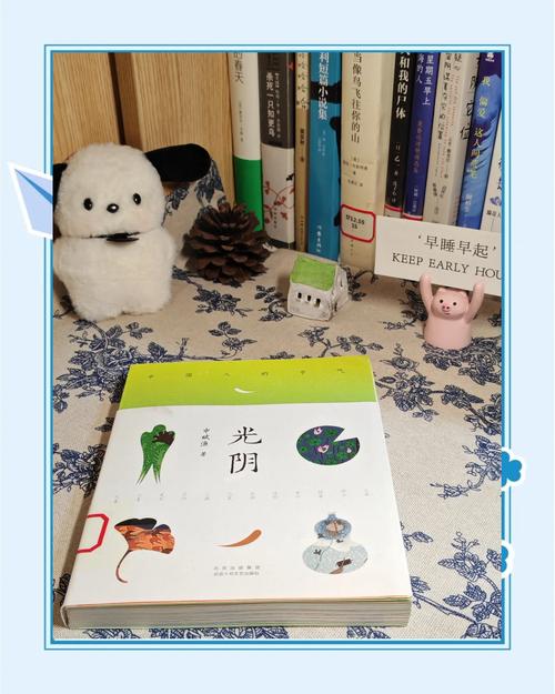 光阴小说免费阅读