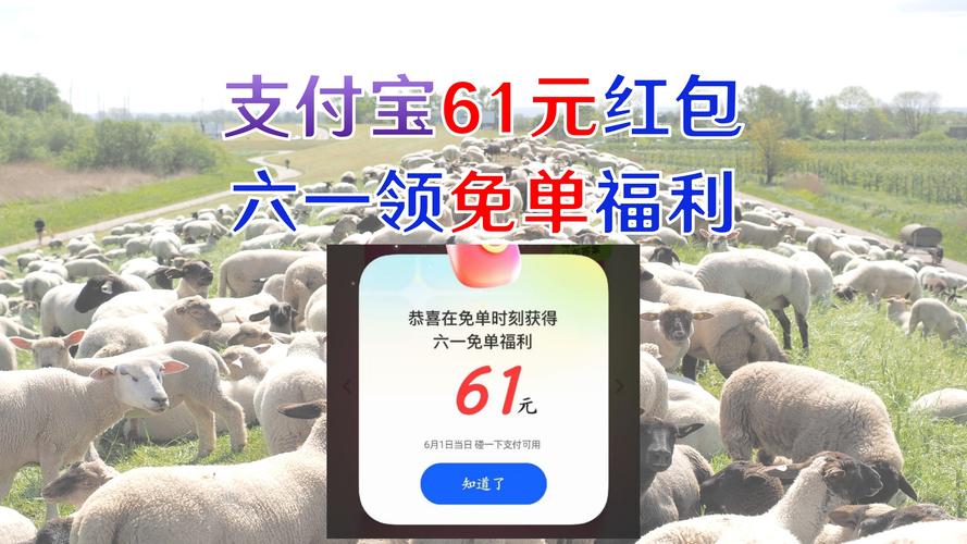 61钱包
