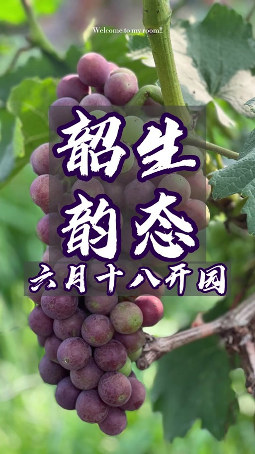 和汇生态葡萄园