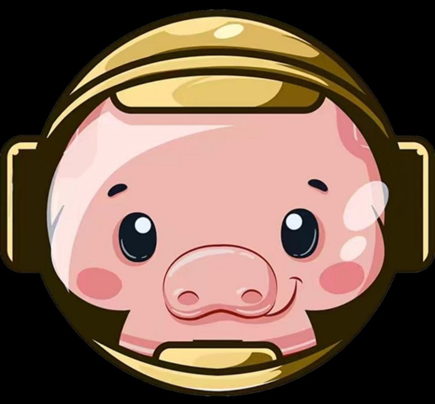 pig币猪币