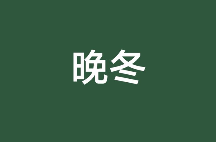 晚冬小说手机版