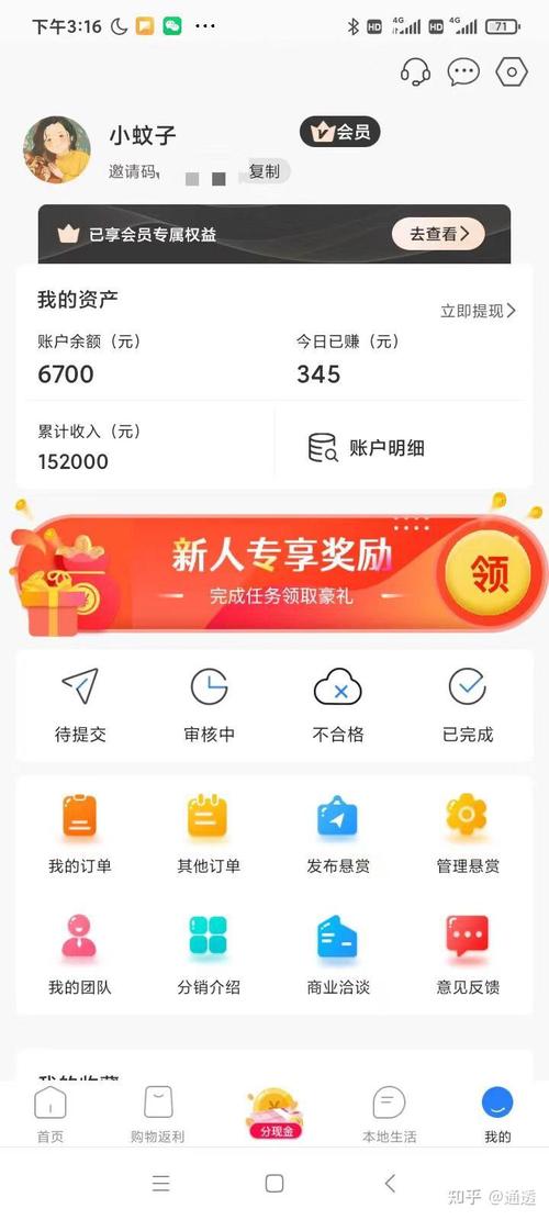 每日到贝高收益任