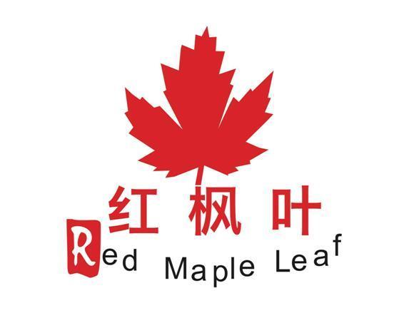 红枫叶小说免费
