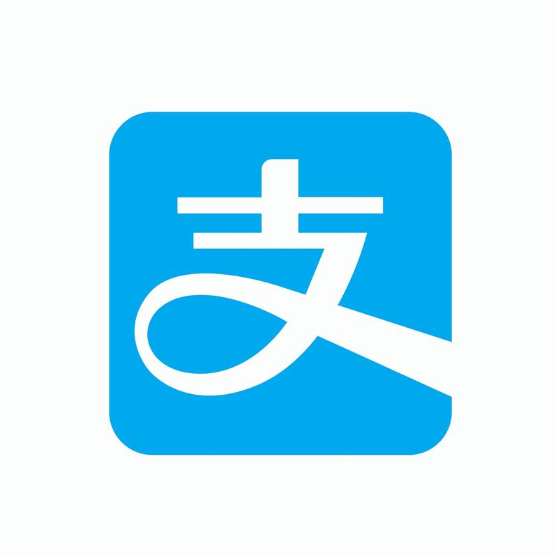 支付宝100