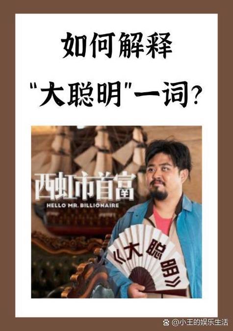 我不是大聪明