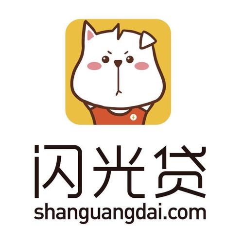 麻花闪贷截图