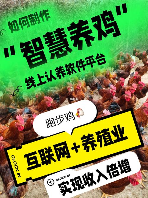 智慧养鸡赚钱领红