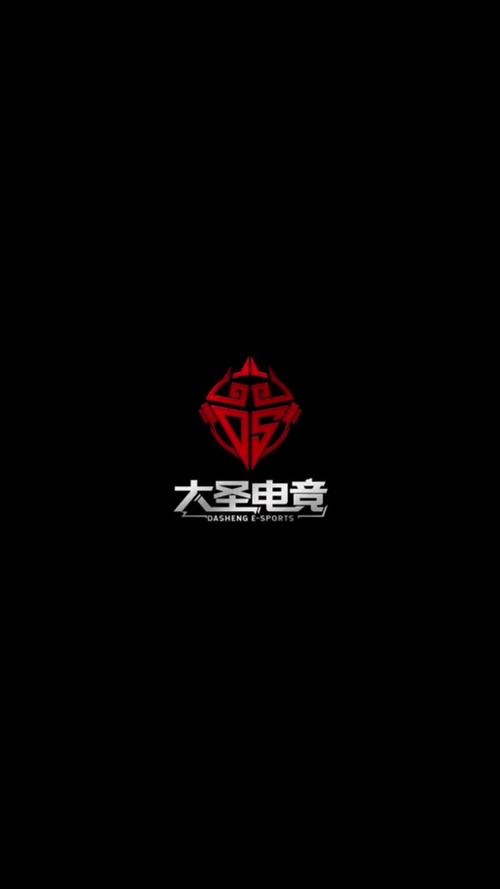 大圣联盟官网邀请