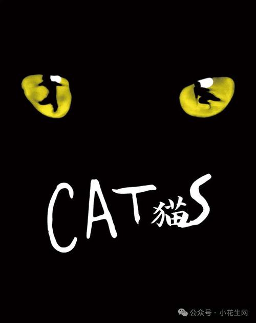 神偷猫咪