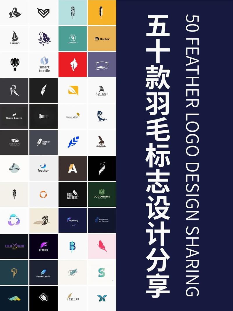 羽毛资讯分享赚钱