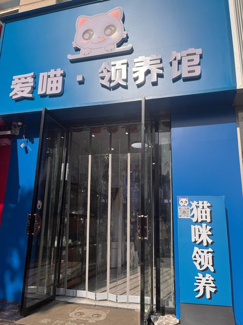 爱觅惠养猫赚钱
