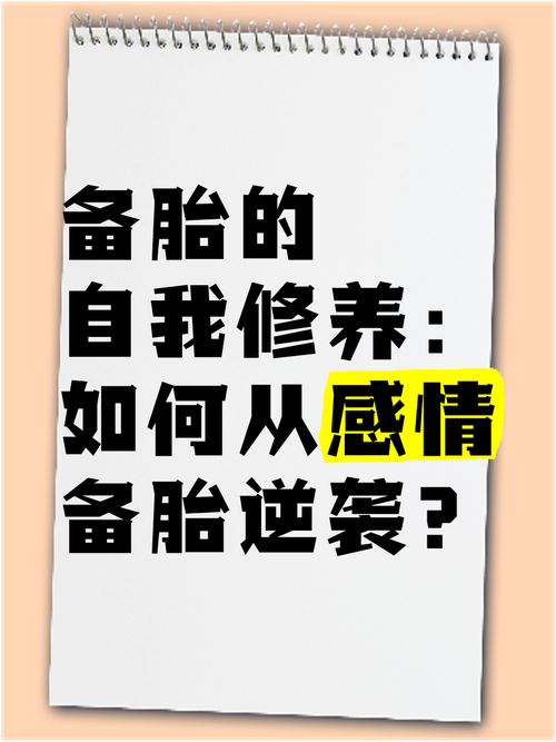 备胎的自我修养
