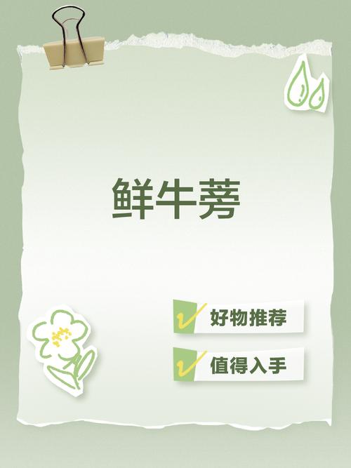 牛蒡悬赏app安卓版