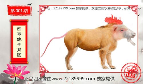 看今晚的四不像图