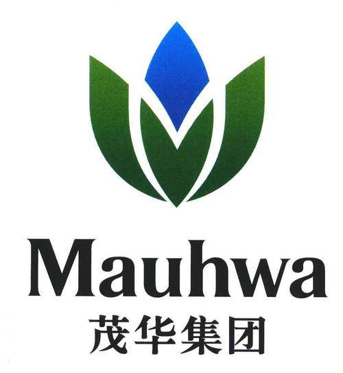 茂华借钱