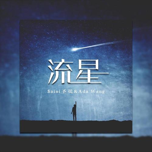 流星小说网免费