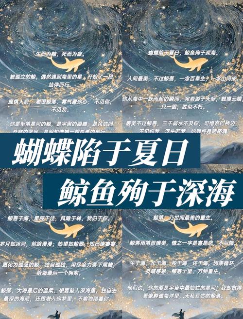 鲸鱼小说书城官网